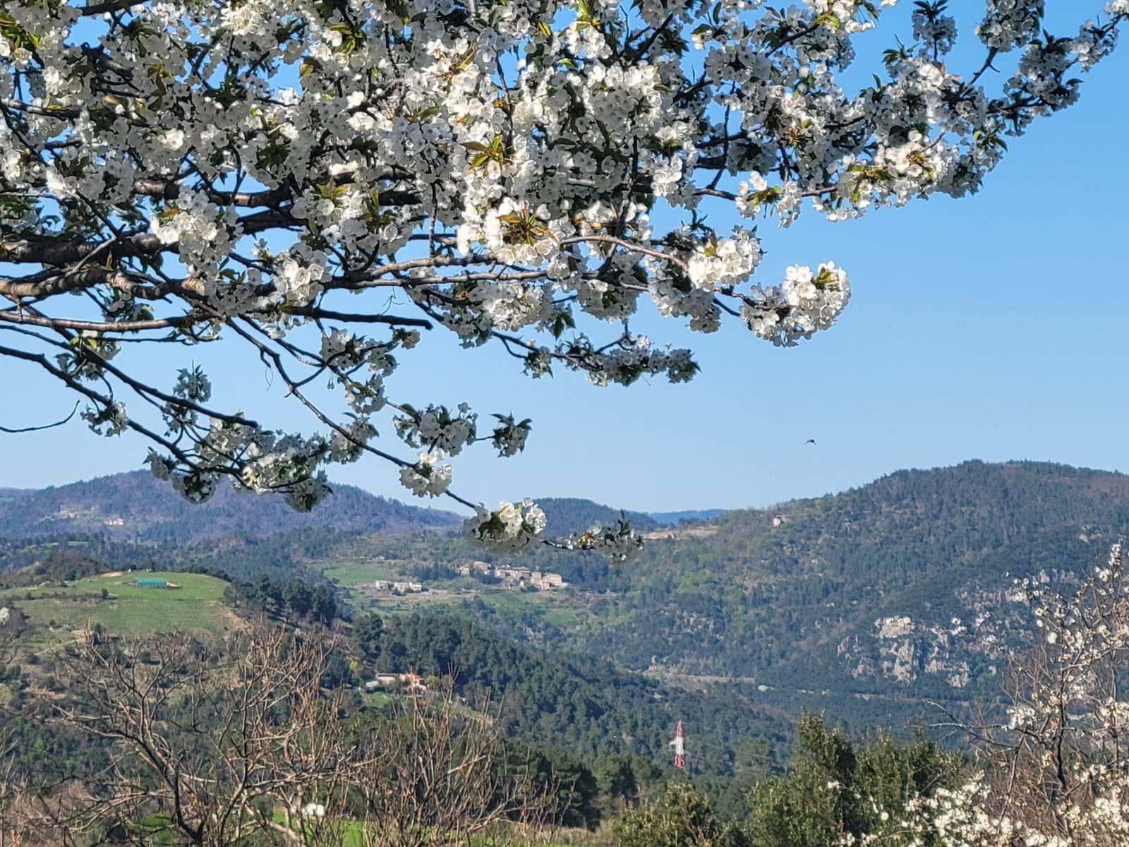 img 20250409 wa0006